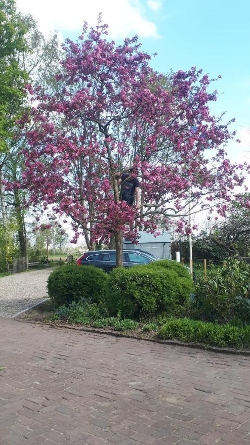 Gastenverblijf 'T Oelengoor Sinderen Luaran gambar